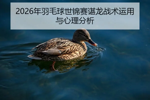 2026年羽毛球世锦赛谌龙战术运用与心理分析