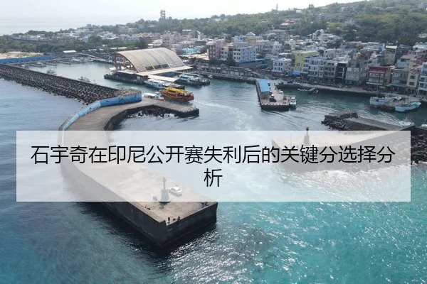 石宇奇在印尼公开赛失利后的关键分选择分析