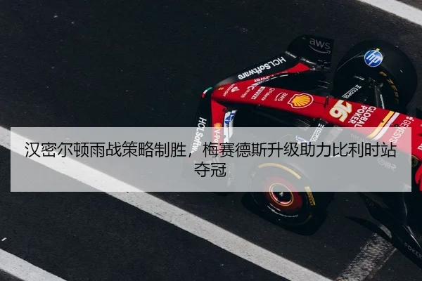 han-mi-er-dun-yu-zhan-ce-lve-zhi-sheng-mei-sai-de-si-sheng-ji-zhu-li-bi-li-shi-zhan-duo-guan-3-465.jpg